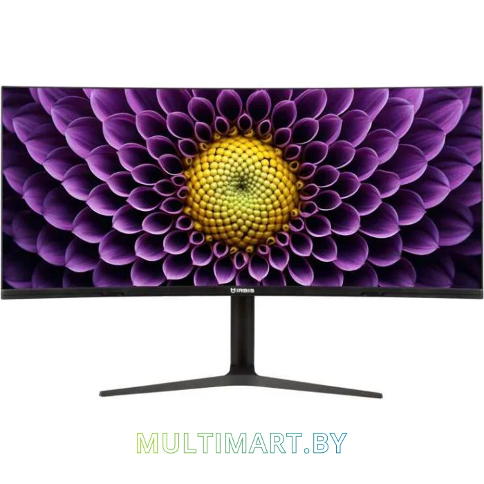 Монитор Irbis NobleView INV38UIDR